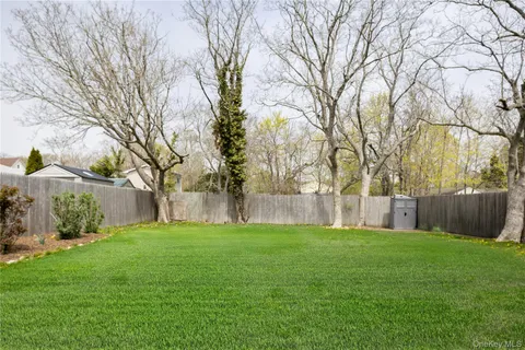 a view of a backyard with large trees