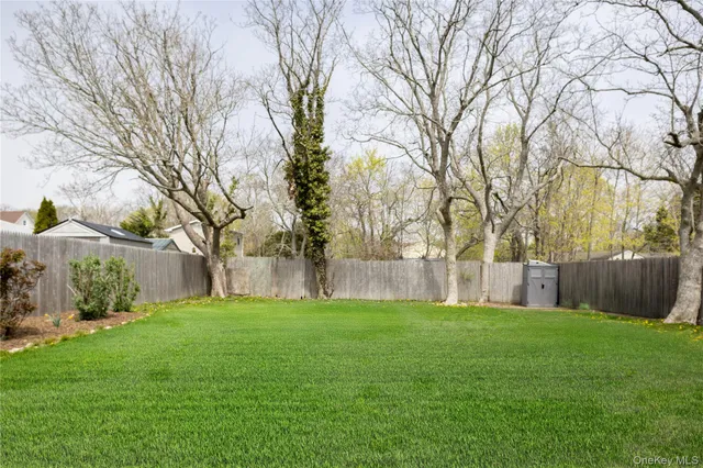 a view of a backyard with large trees