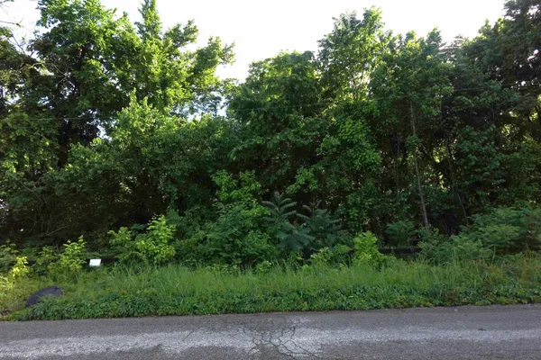 a view of a street with a tree
