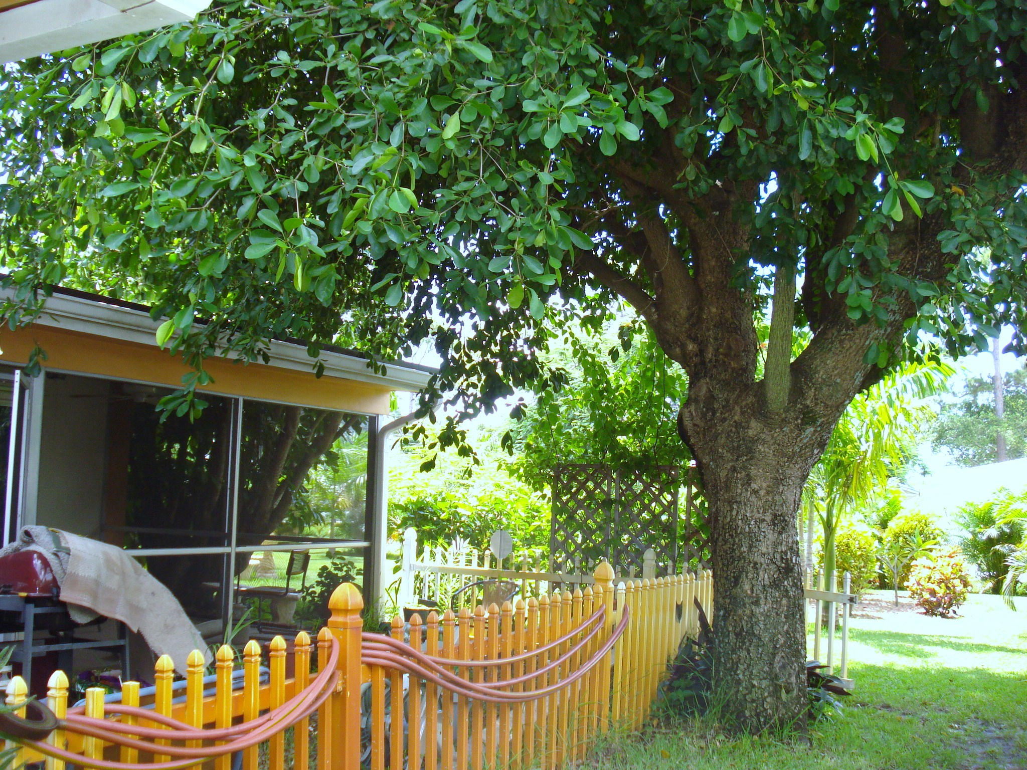 15139 Harrison Road Delray Beach, FL 33484 - Photo 8 of 25 Back view
