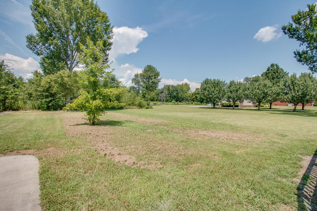 296 Old Shannon Road Lebanon, TN 37090 - Photo 28 of 30 a view of a field with an trees