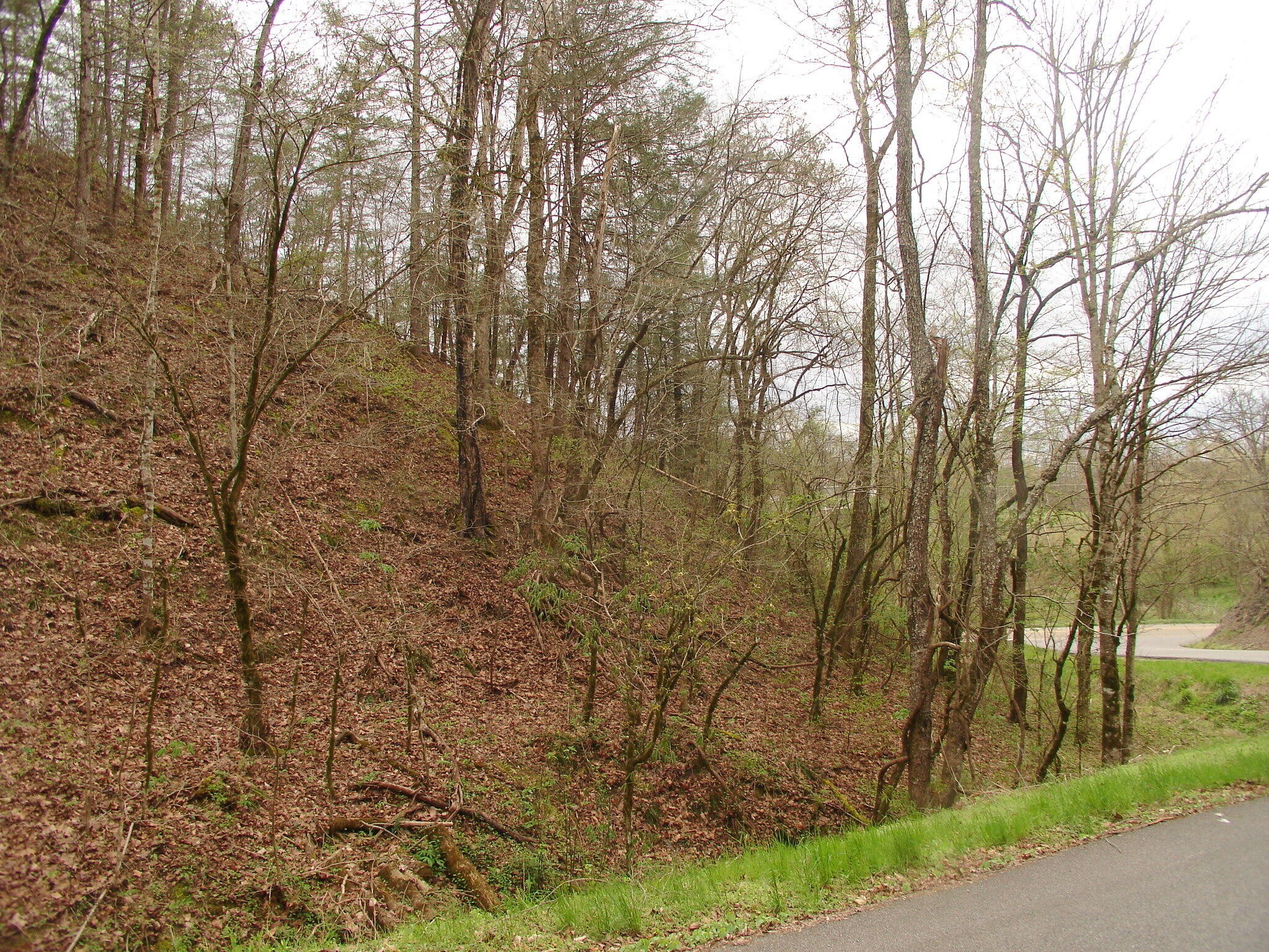 1 Jones Cove Road Sevierville, TN 37876 - Photo 10 of 12
