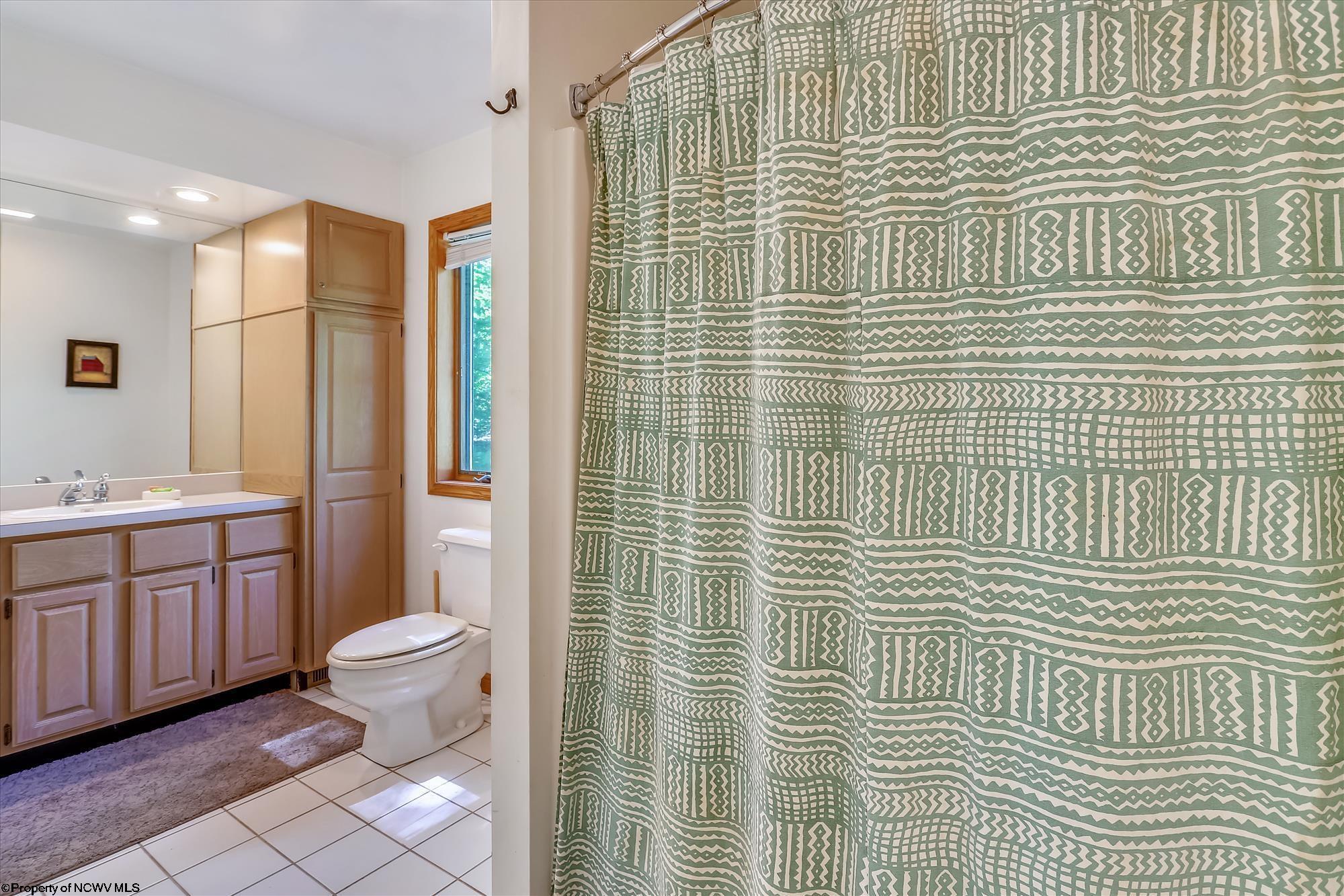 682 Bobcat Road Davis, WV 26260 - Photo 9 of 27 Gallery Image 9