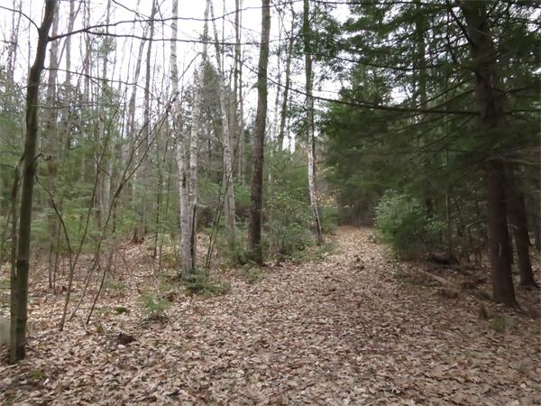 Lot 17 Jennison Road Wendell, MA 01379 - Photo 1 of 8 Gallery Image 1