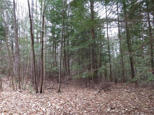 Lot 17 Jennison Road Wendell, MA 01379 - Photo 5 of 8 Gallery Image 5