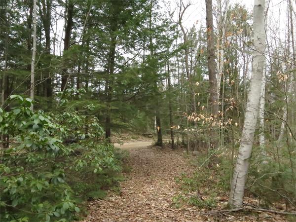 Lot 17 Jennison Road Wendell, MA 01379 - Photo 6 of 8 Gallery Image 6