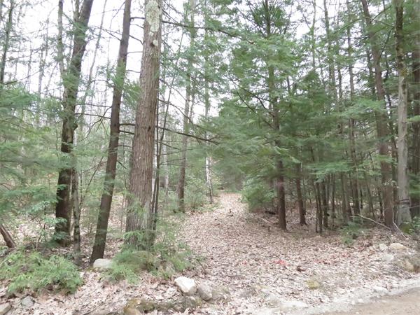 Lot 17 Jennison Road Wendell, MA 01379 - Photo 8 of 8 Gallery Image 8