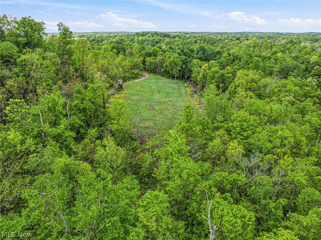 95-acres Newlon Road Malta, OH 43758 - Photo 7 of 18