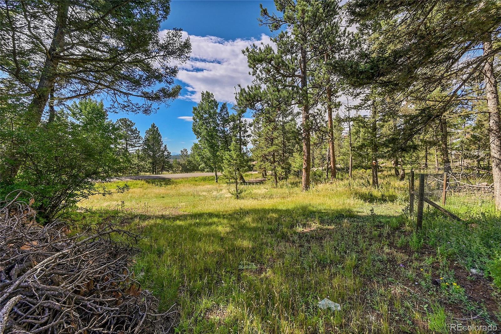 30500 Rand Road Conifer, CO 80433 - Photo 11 of 47 Gallery Image 11