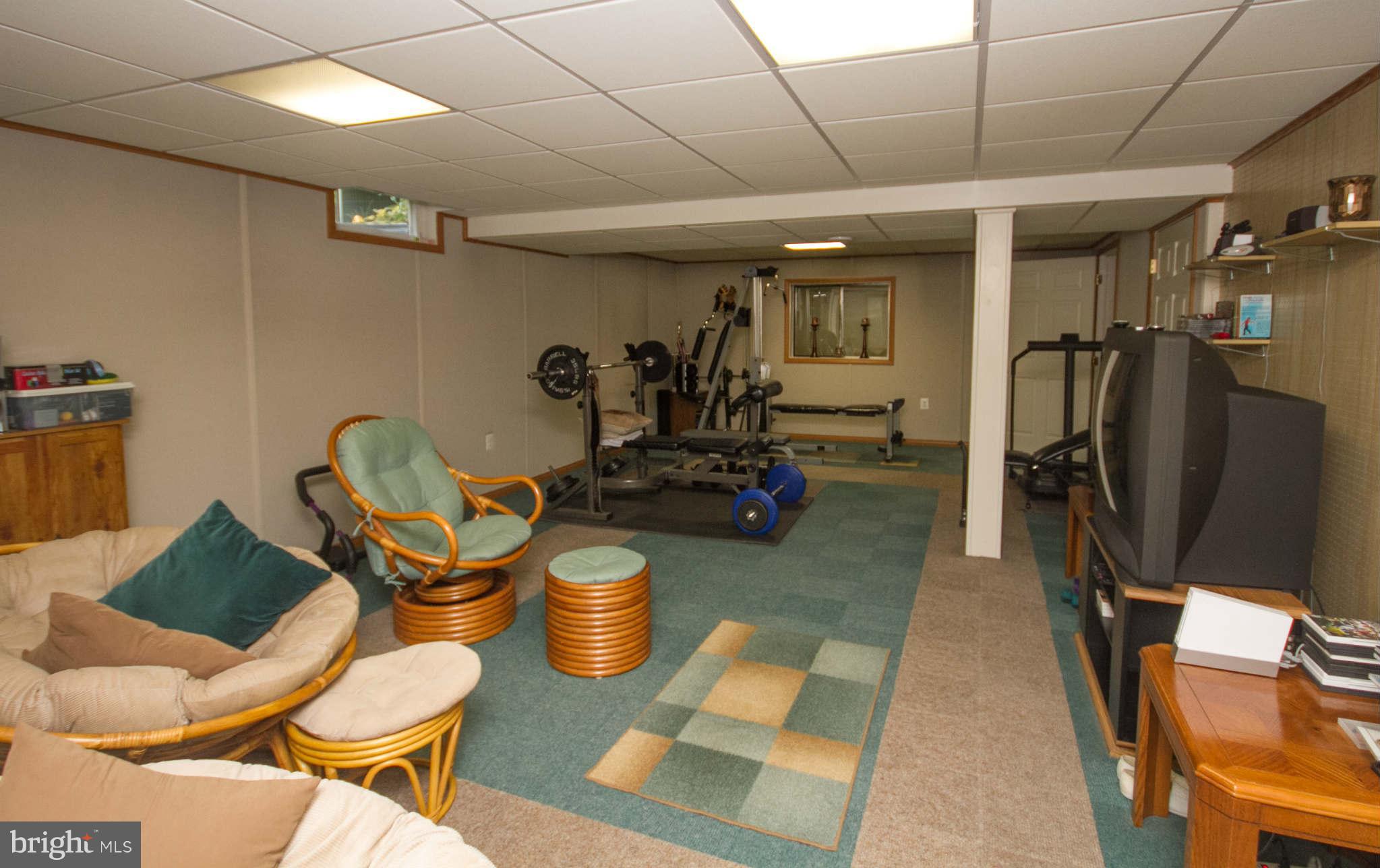 1512 Ridge Forest Way Hanover, MD 21076 - Photo 22 of 30 Basement