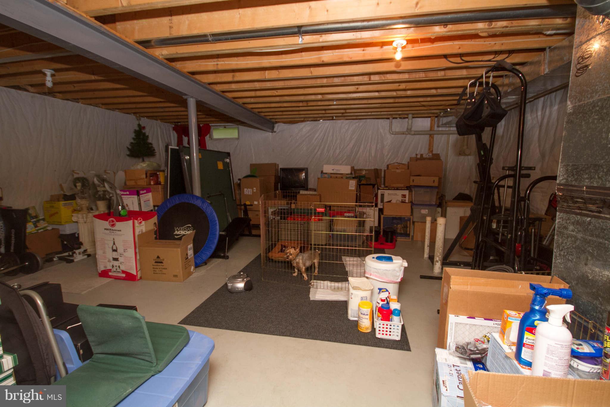 1512 Ridge Forest Way Hanover, MD 21076 - Photo 23 of 30 Basement