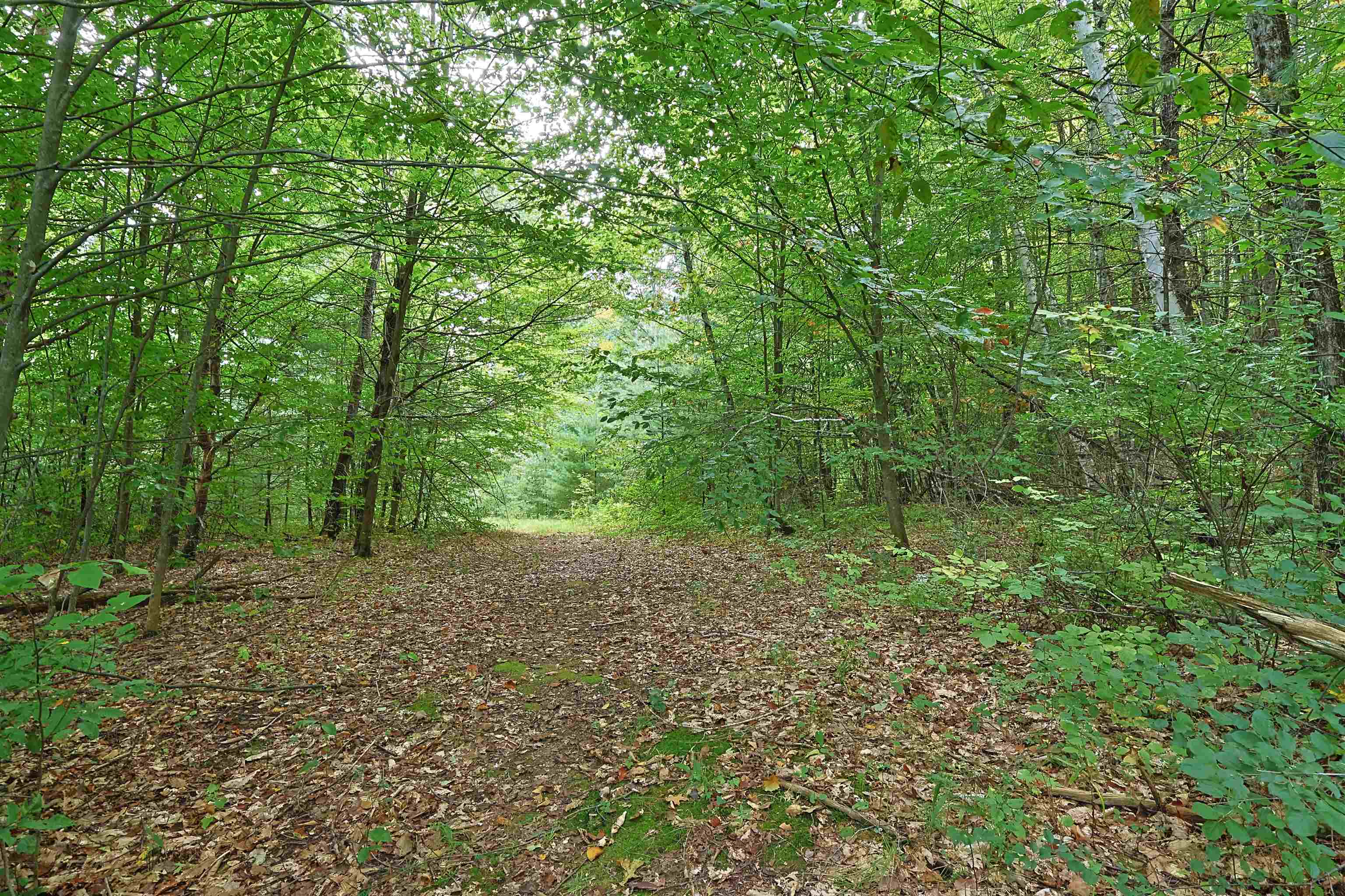 0 Wright Reservoir Road White River Junction, VT 05001 - Photo 1 of 5 Gallery Image 1