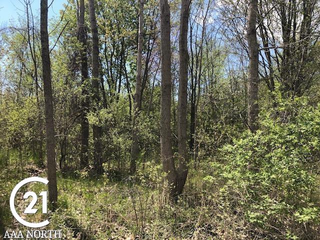 27 27 Mile Road New Haven, MI 48048 - Photo 1 of 3