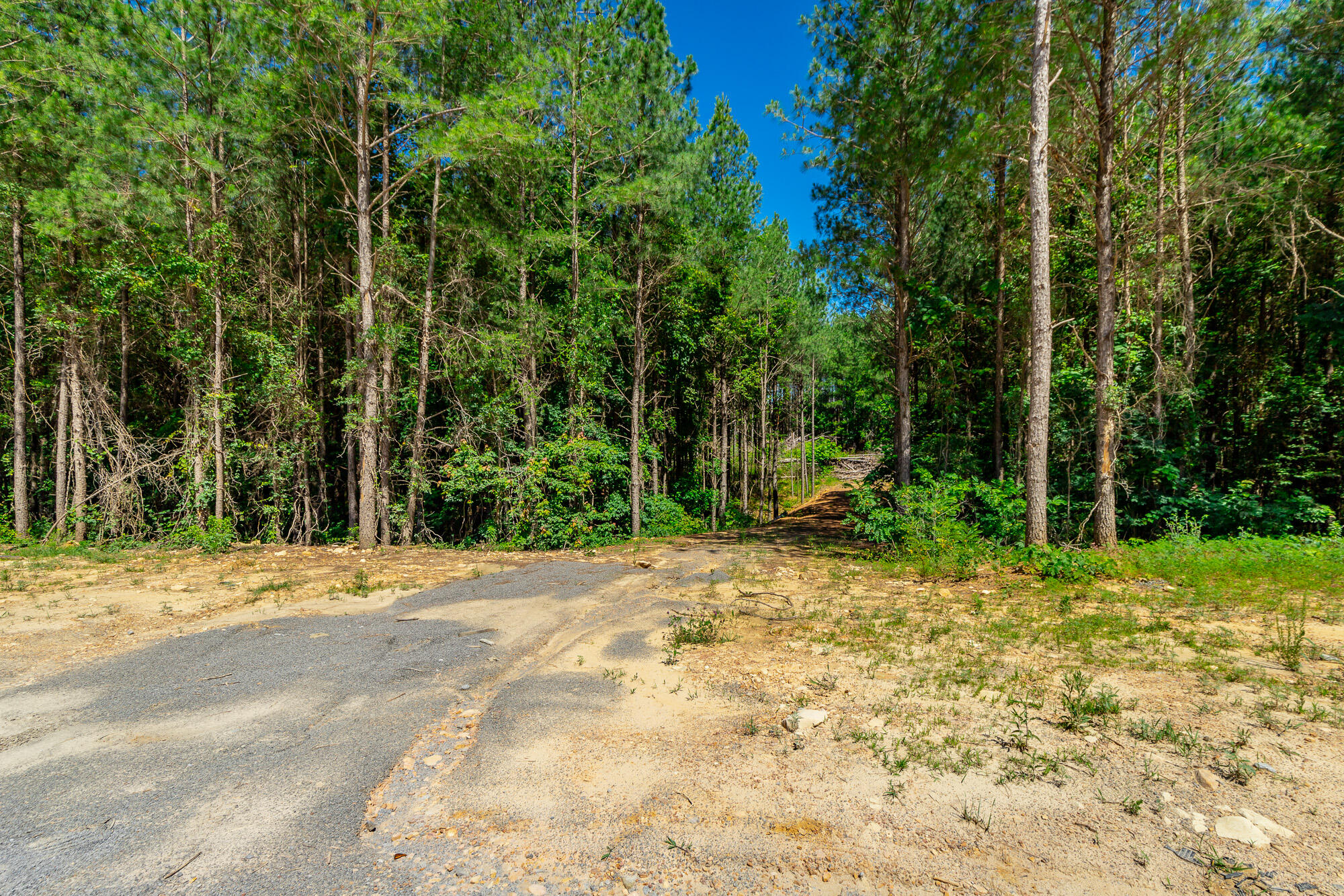 0 Split Rail Way, Unit LOT 1163 Guild, TN 37340 - Photo 30 of 118 River Gorge Lot 1163 HD-13