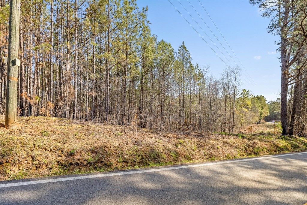 3 Carver Mill Road Jasper, GA 30143 - Photo 33 of 46 Gallery Image 33
