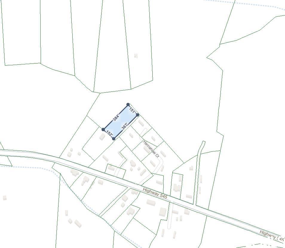 545 Highway 545 Conway, SC 29526 - Photo 3 of 5