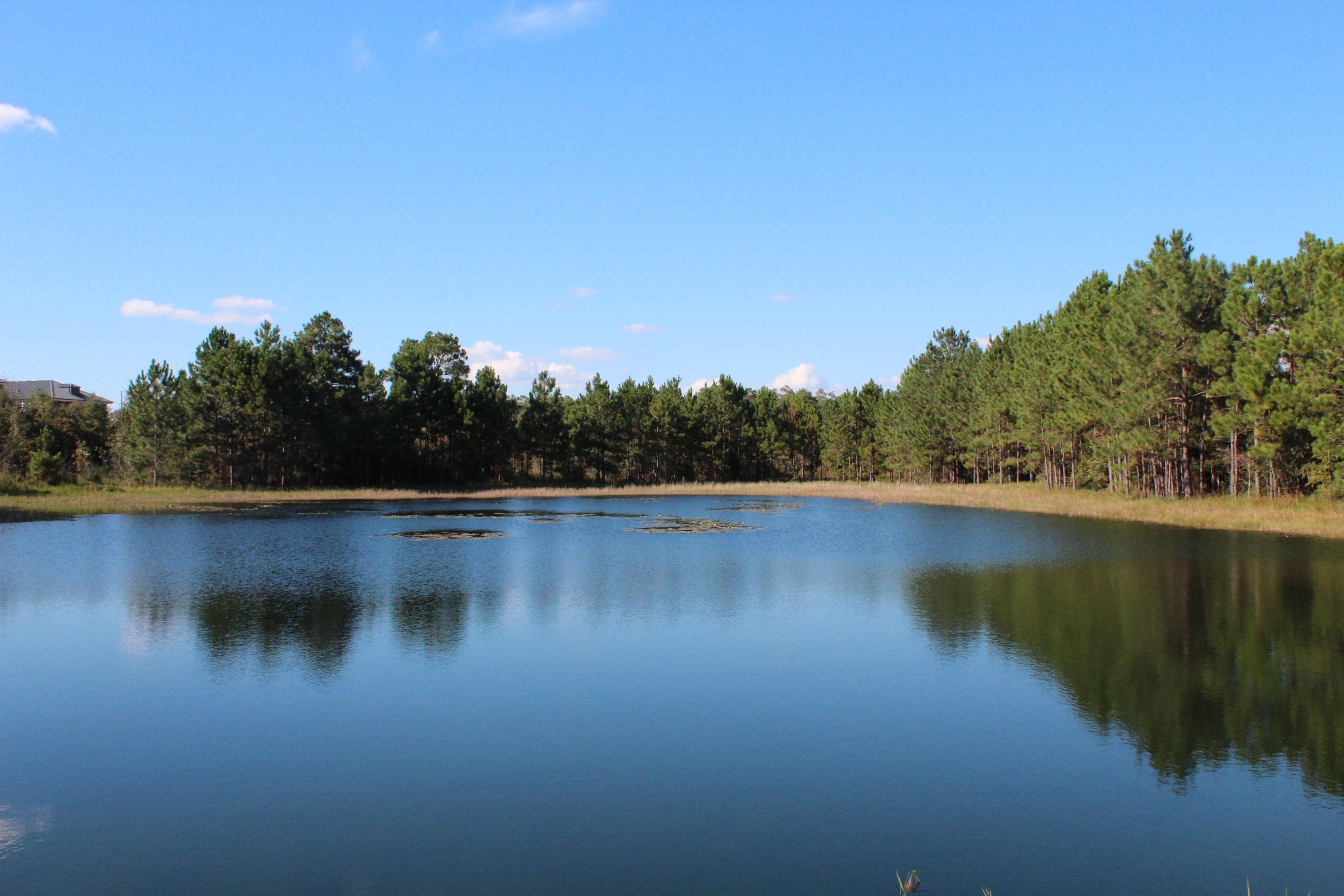 15-ac Walton Road DeFuniak Springs, FL 32433 - Photo 6 of 19 IMG_0053