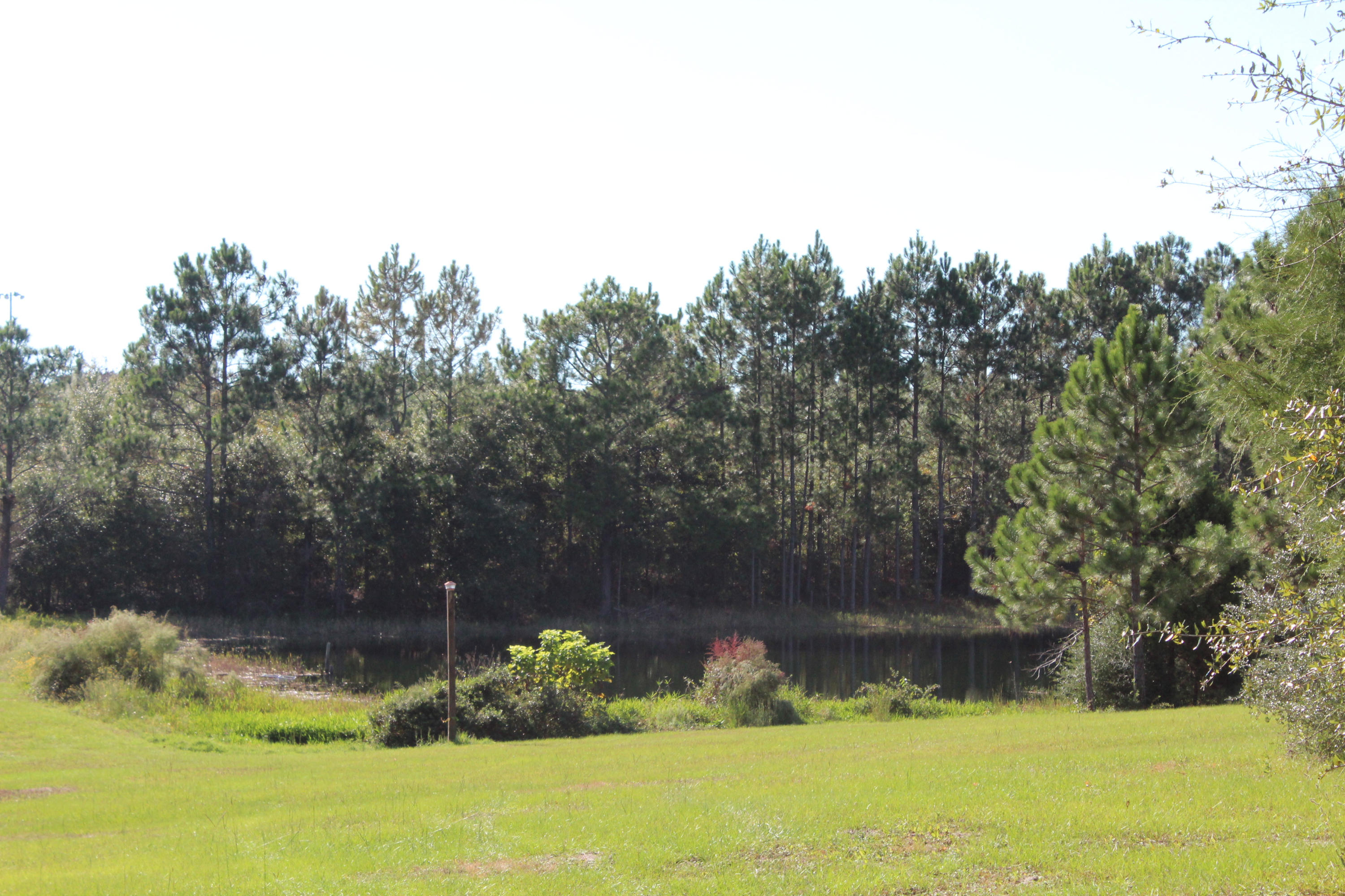 15-ac Walton Road DeFuniak Springs, FL 32433 - Photo 10 of 19 IMG_0063