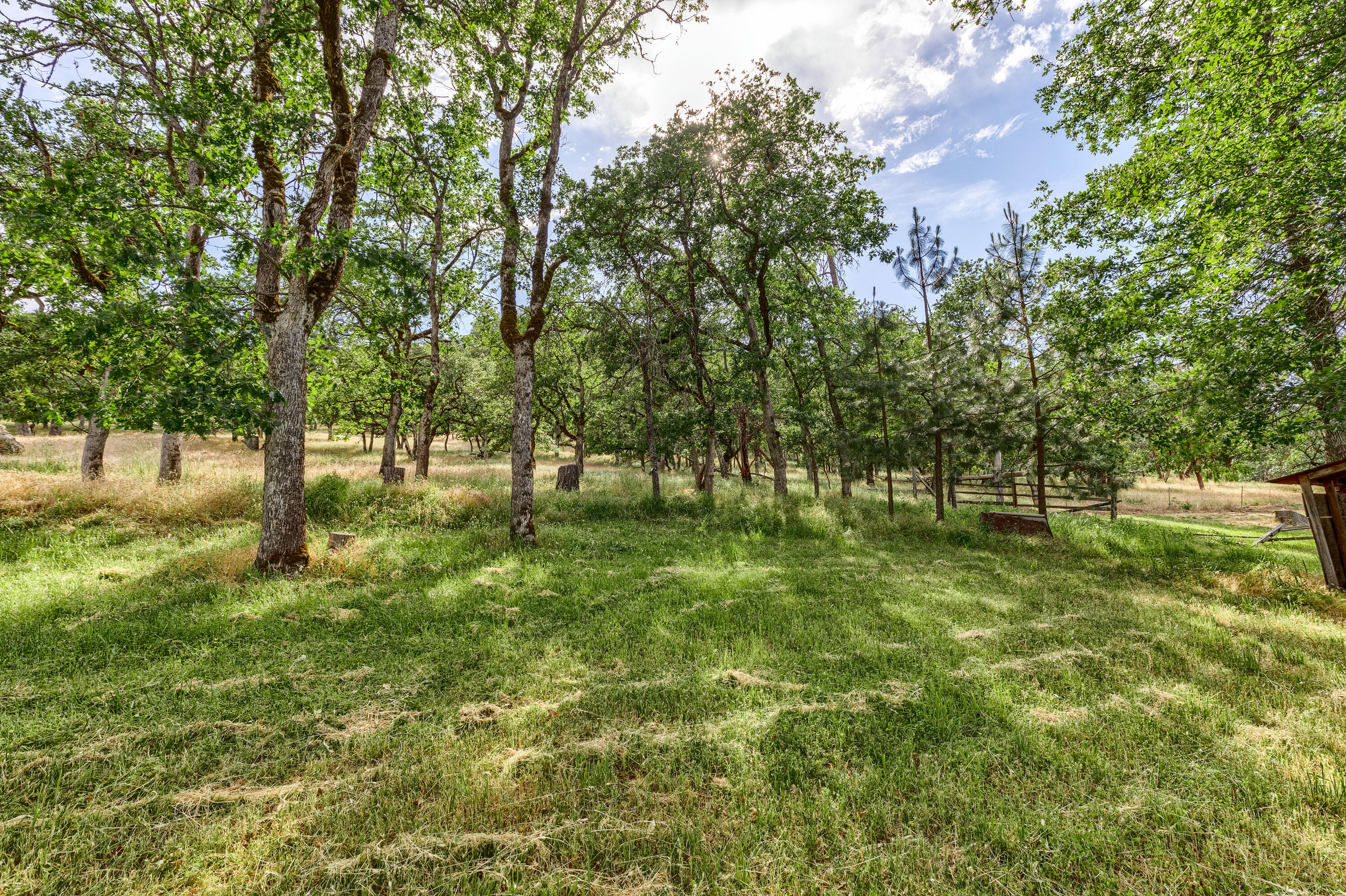 4167 Old Stage Road Central Point, OR 97502 - Photo 6 of 50 a view of outdoor space with trees all around