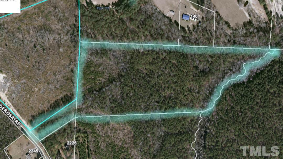 0 Ponderosa Road Ruffin, NC 27326 - Photo 1 of 1