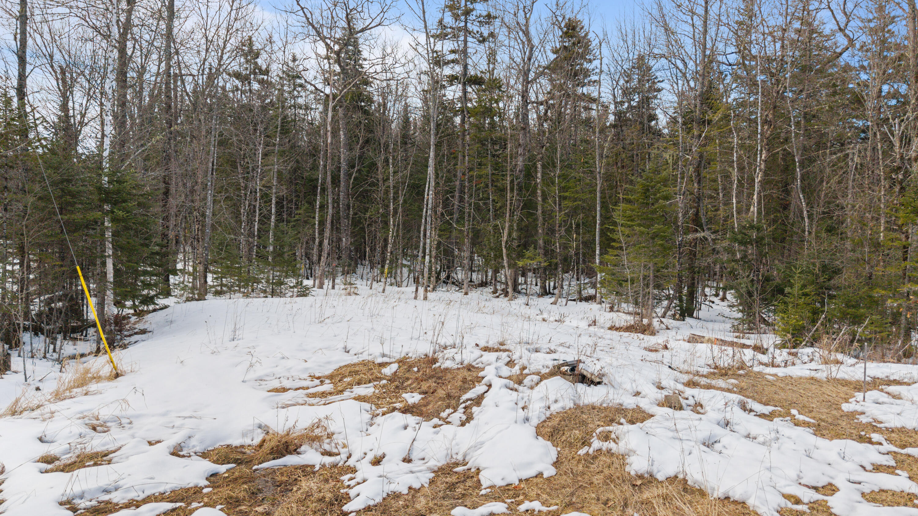 3 New England Road Abbot, ME 04406 - Photo 18 of 27