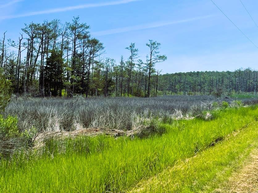 Lot 149 Guards Shore Road, Unit 149A Bloxom, VA 23308 - Photo 1 of 5