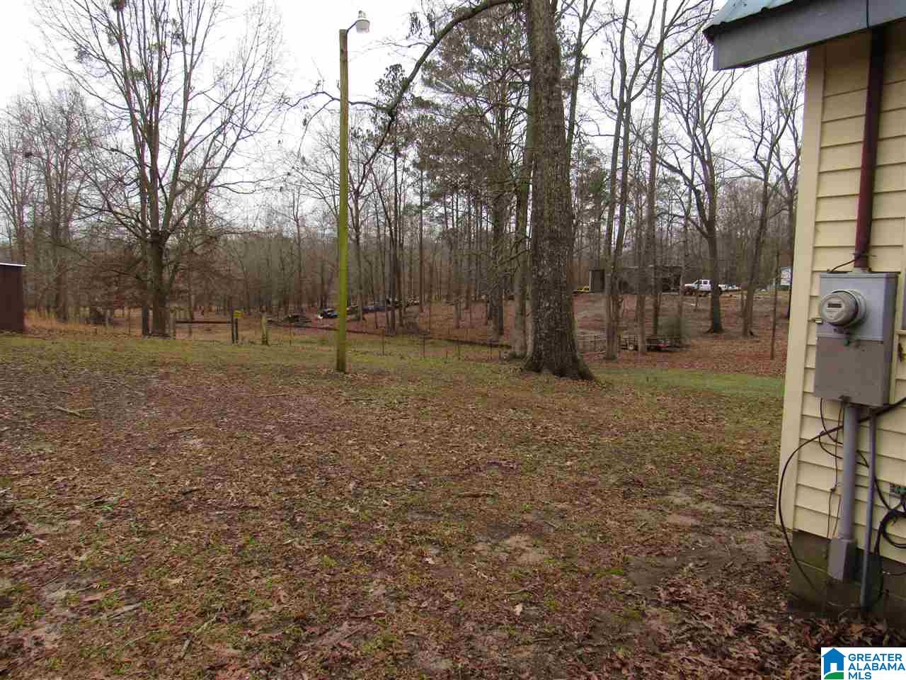 190 County Road 484 Clanton, AL 35046 - Photo 42 of 45