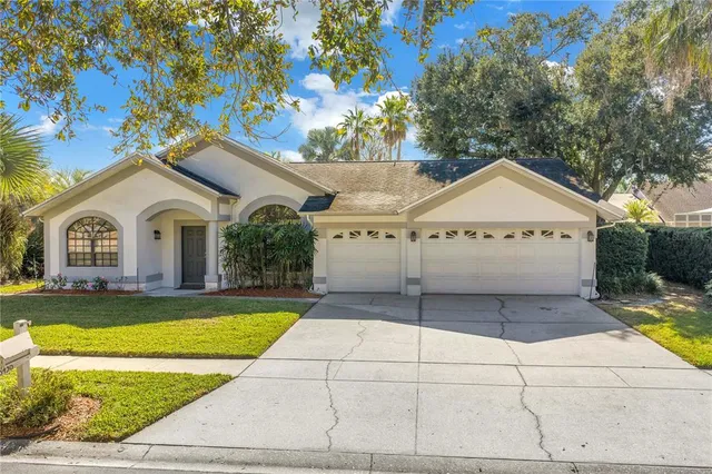 a view of a white house with a large trees and a yard with plants