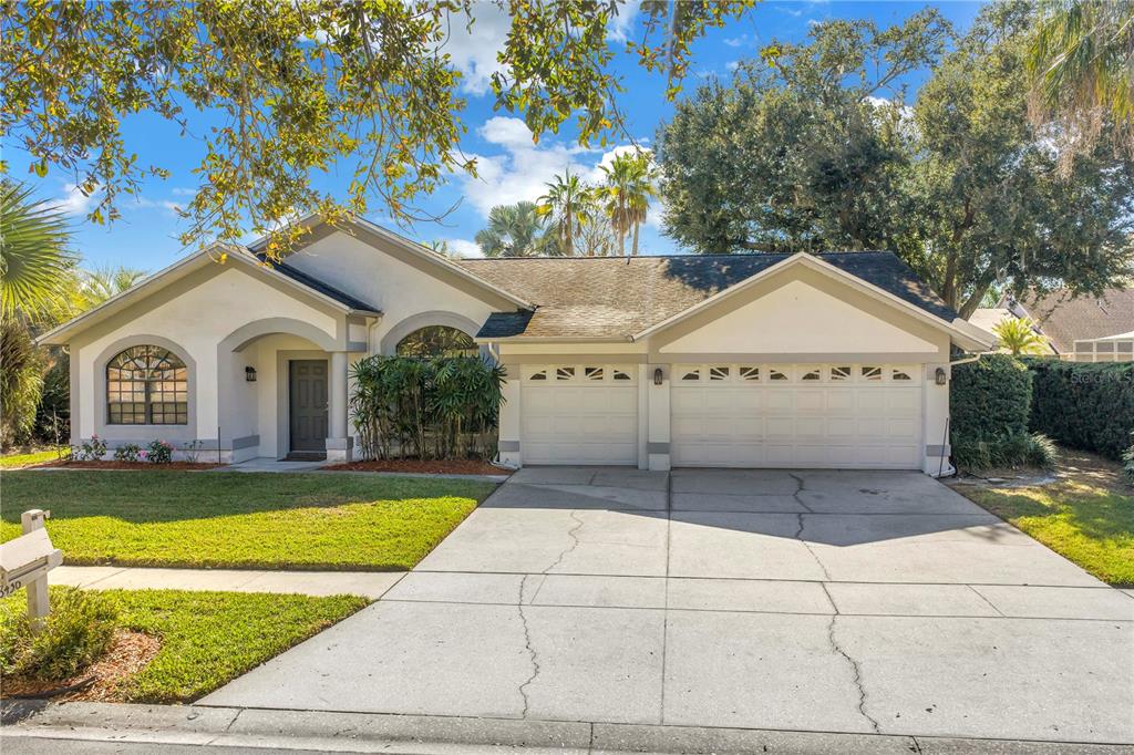 a view of a white house with a large trees and a yard with plants