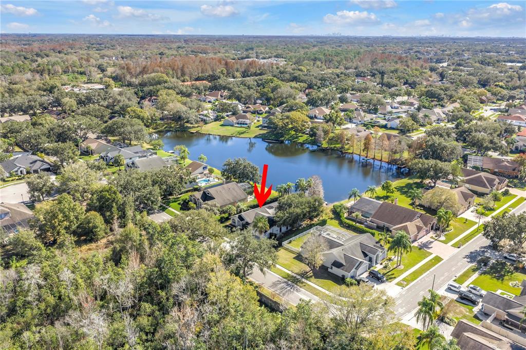 8436 Ridgebrook Circle Odessa, FL 33556 - Photo 22 of 58 an aerial view of residential houses with outdoor space and trees