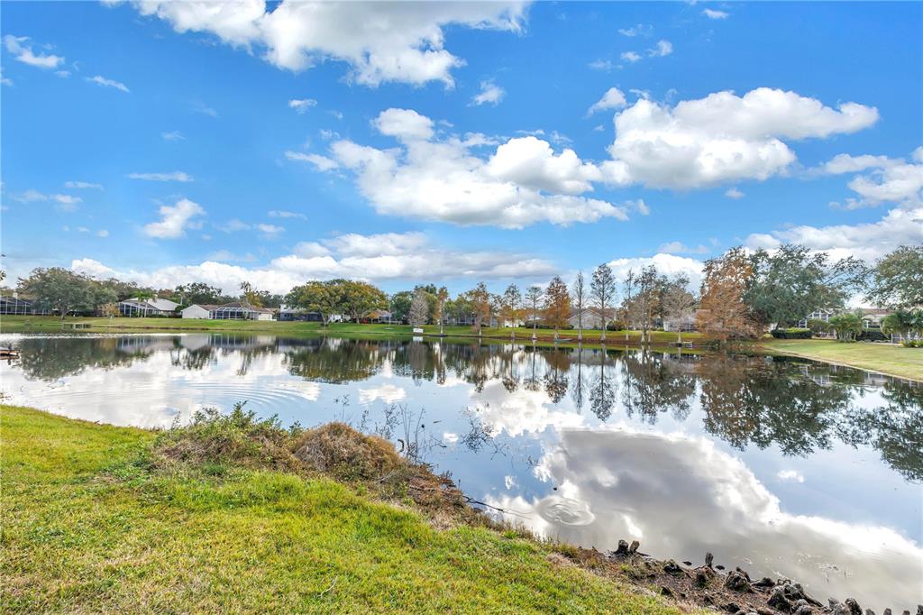 8436 Ridgebrook Circle Odessa, FL 33556 - Photo 24 of 58 a view of a lake with houses in the background