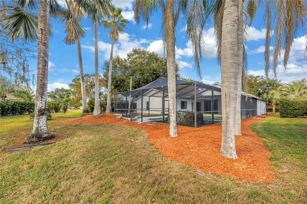 8436 Ridgebrook Circle Odessa, FL 33556 - Photo 25 of 58 a view of a house with palm trees