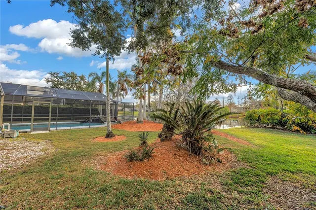 a view of a backyard