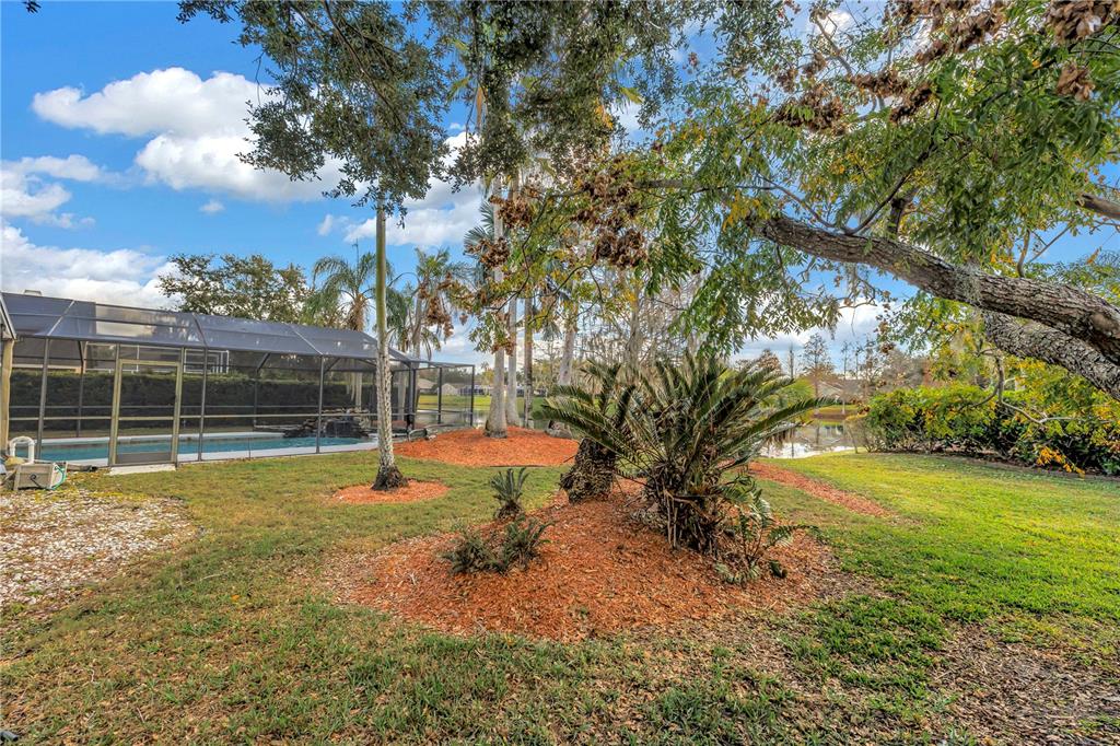 8436 Ridgebrook Circle Odessa, FL 33556 - Photo 28 of 58 a view of a yard with a large tree