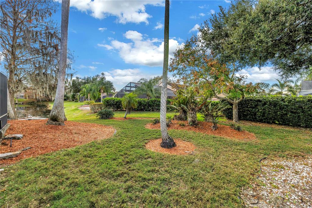 8436 Ridgebrook Circle Odessa, FL 33556 - Photo 29 of 58 a view of a tree in a yard