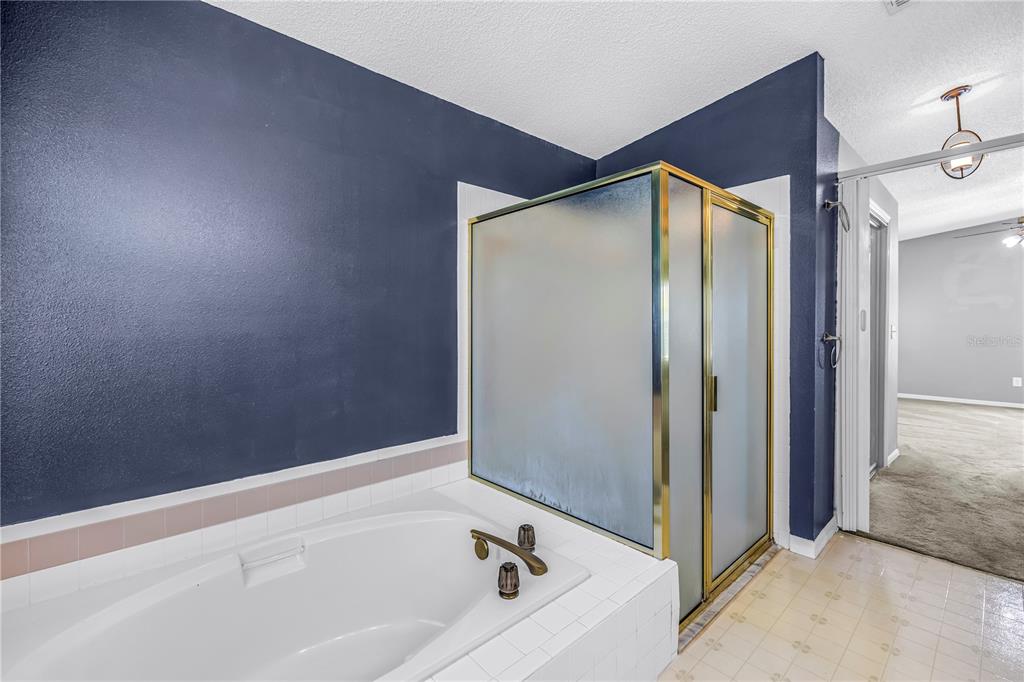 8436 Ridgebrook Circle Odessa, FL 33556 - Photo 45 of 58 a bathroom with a bathtub and a shower