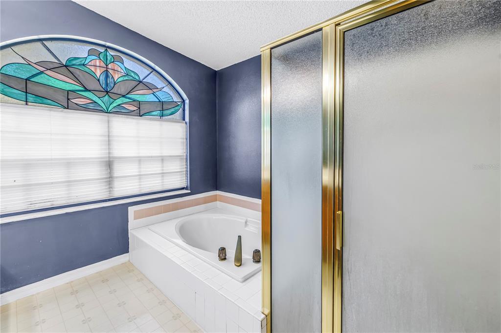 8436 Ridgebrook Circle Odessa, FL 33556 - Photo 48 of 58 a bathroom with a bathtub and a window