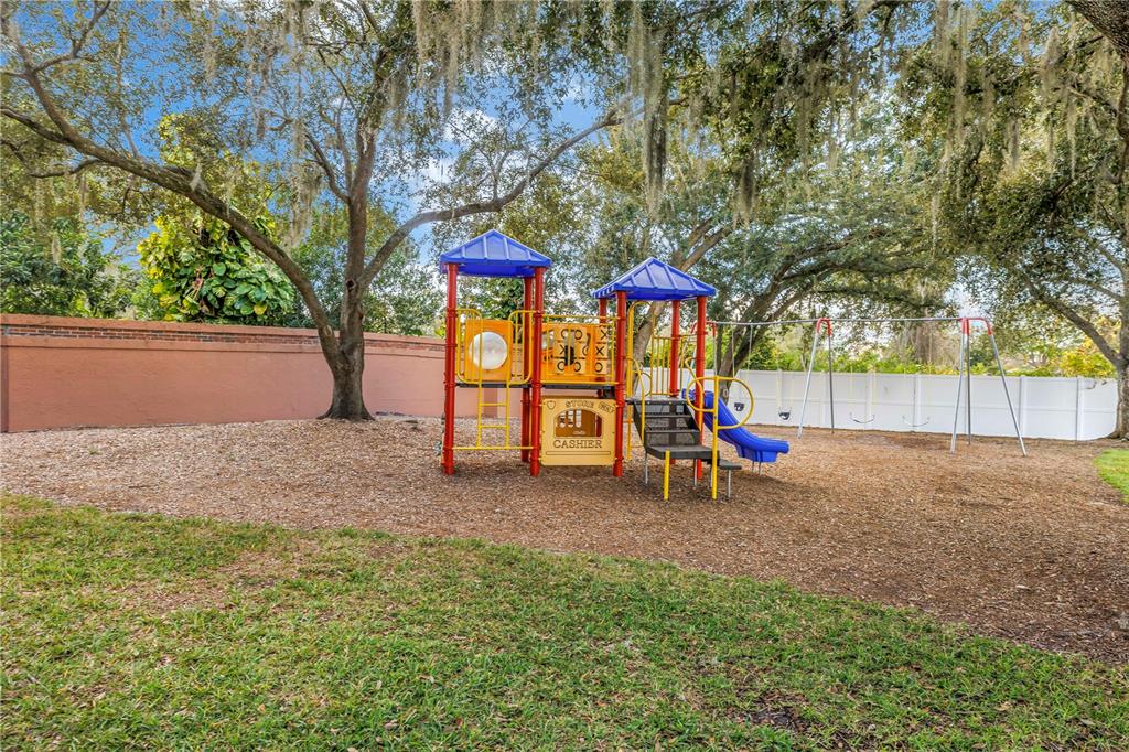 8436 Ridgebrook Circle Odessa, FL 33556 - Photo 55 of 58 a view of a park with slide