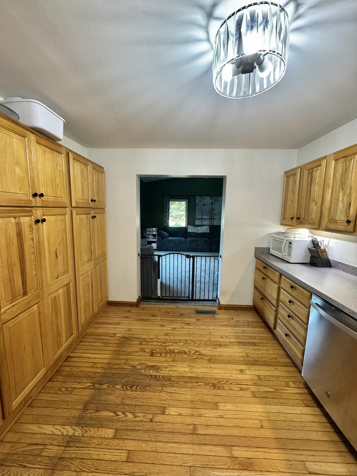 9462 East Colby Road Crystal, MI 48818 - Photo 13 of 51 IMG_9041