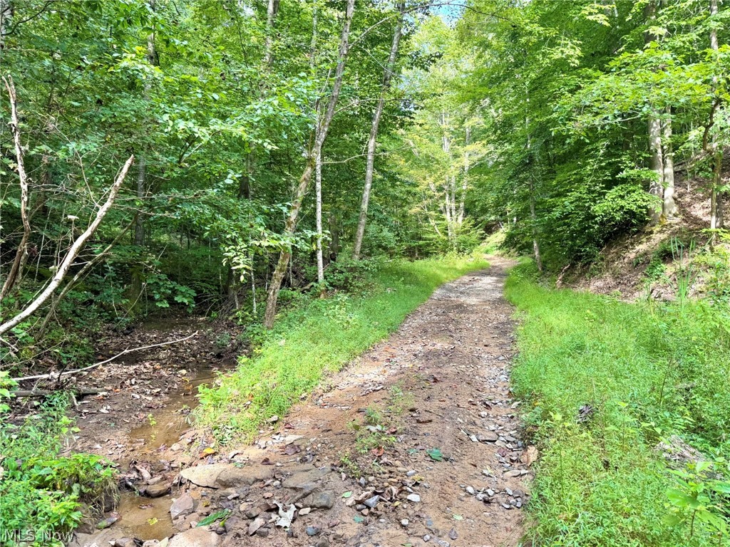2 Nicut Run Road Rosedale, WV 26636 - Photo 14 of 24 Gallery Image 14