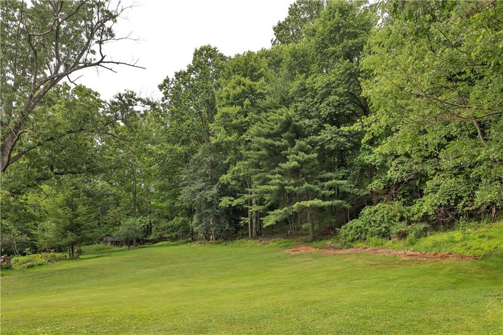 267 Thorne Run Road Export, PA 15632 - Photo 31 of 32 Backyard