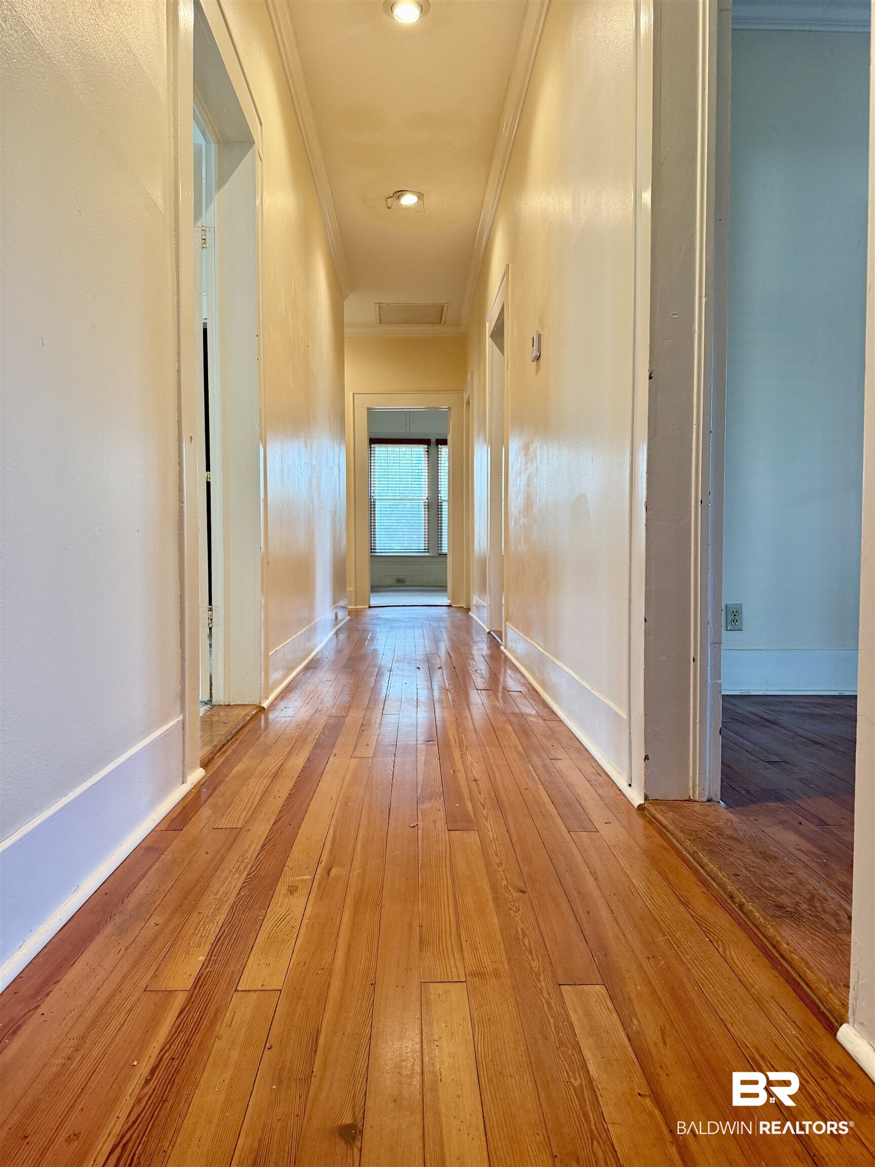 423 Evergreen Avenue Brewton, AL 36426 - Photo 14 of 18 Hall with ornamental molding and hardwood / wood-style flooring
