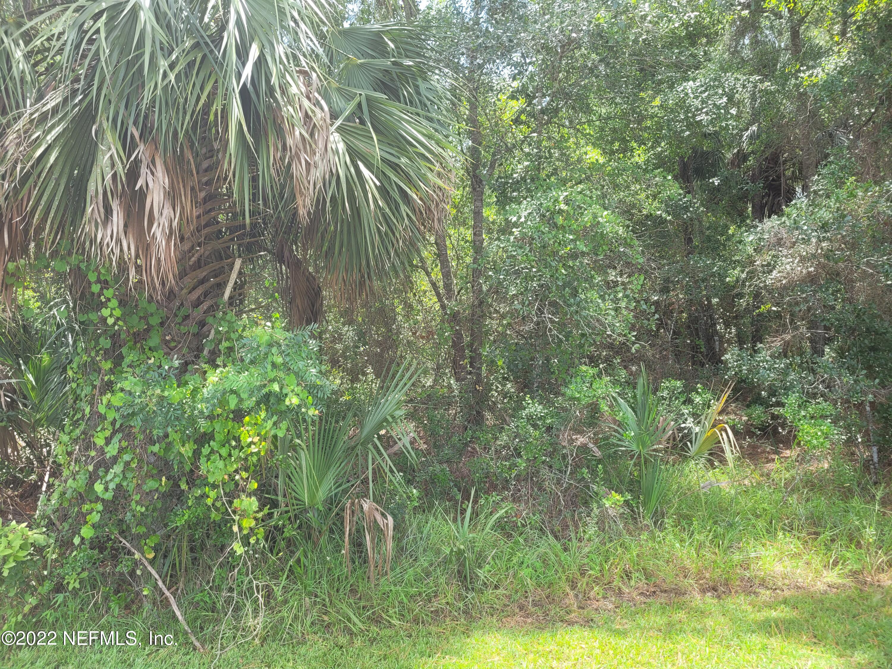 186 Georgetown Shortcut Road Georgetown, FL 32139 - Photo 1 of 5 186 Georgetown Shortcut Rd