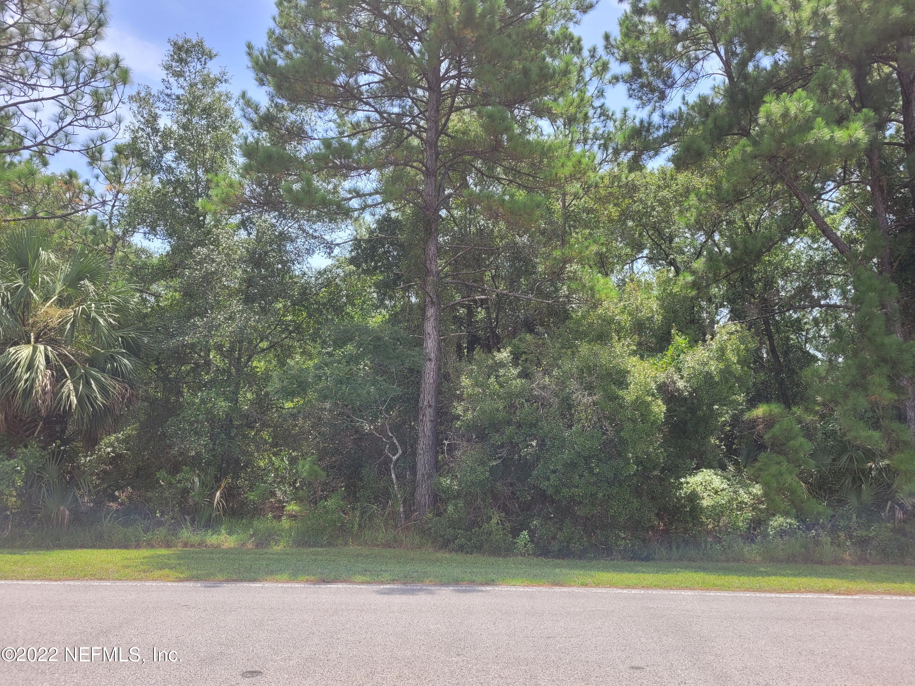 186 Georgetown Shortcut Road Georgetown, FL 32139 - Photo 2 of 5 20220728_125023
