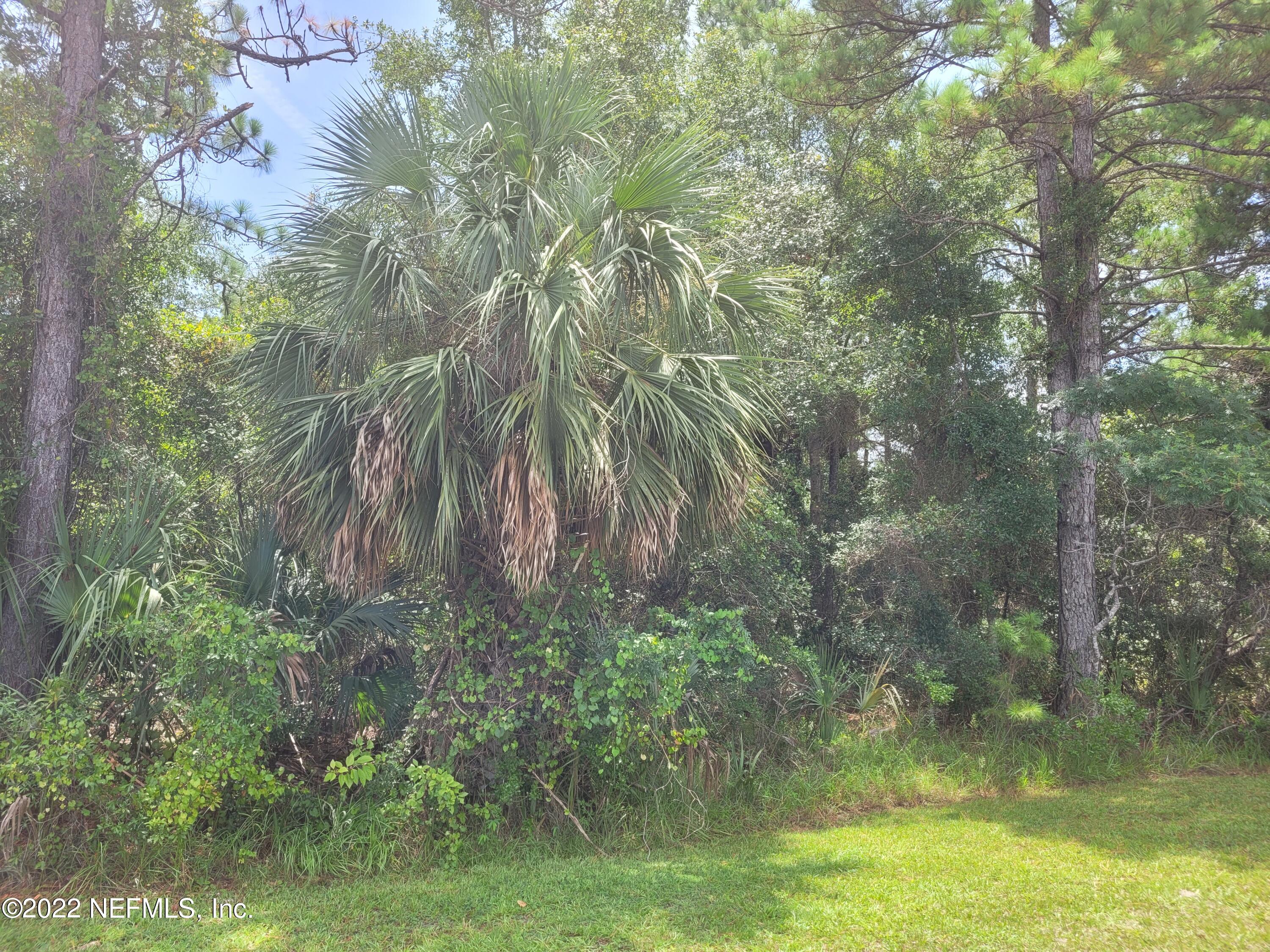 186 Georgetown Shortcut Road Georgetown, FL 32139 - Photo 3 of 5 20220728_125040