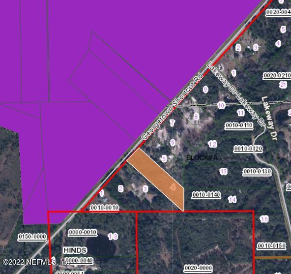 186 Georgetown Shortcut Road Georgetown, FL 32139 - Photo 4 of 5 Screenshot 2022-07-28 143513