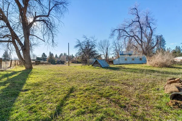 a view of yard with tree and green space