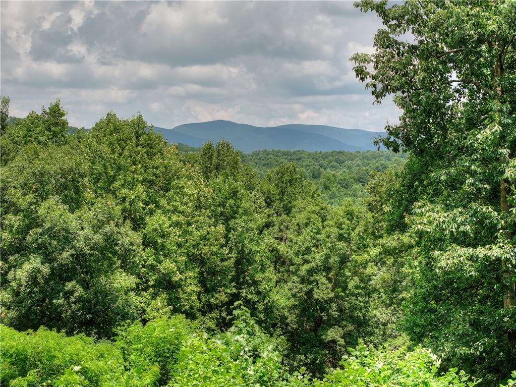 2086 Burnt Mountain Road Ellijay, GA 30536 - Photo 134 of 148