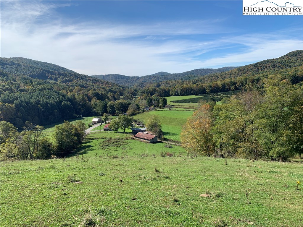 Tract #1 Tract Road Todd, NC 28684 - Photo 1 of 16 Gallery Image 1
