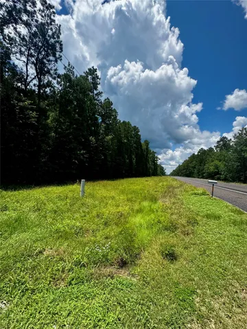 a view of yard with green space